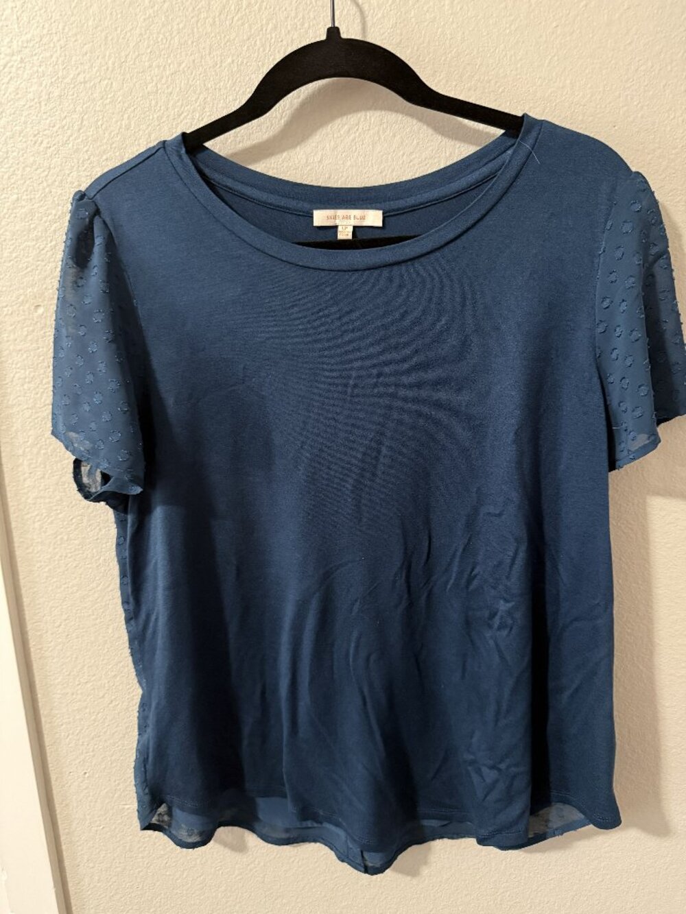 Skies Are Blue Teal tee w swiss dot sheer sleeve & back detail-large petite